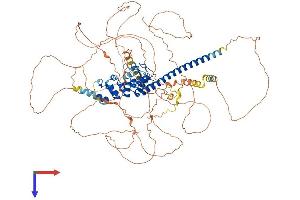 SNCAIP Protein (AA 1-919) (His tag)