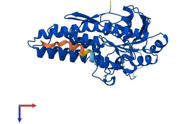 MRI1 Protein (AA 1-369) (His tag)