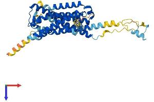 GPR85 Protein (AA 1-370) (His tag)