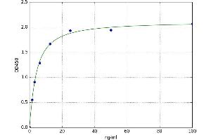 A typical standard curve (Calpain 6 ELISA Kit)
