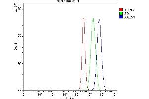 Flow Cytometry analysis of U87 cells using anti-DDB2 antibody (ABIN7599601). (DDB2 Antikörper  (AA 10-424))