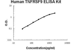 Human TNFRSF9/4-1BB PicoKine ELISA Kit standard curve (CD137 ELISA Kit)