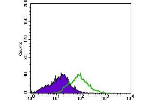 Integrin Alpha2b Antikörper  (AA 45-149)