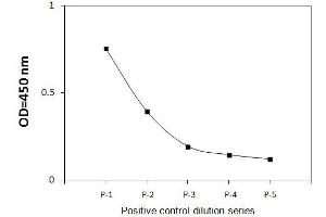 A431 cells were treated with recombinant human EGF at 37°C for 20 min. (STAT6 ELISA Kit)