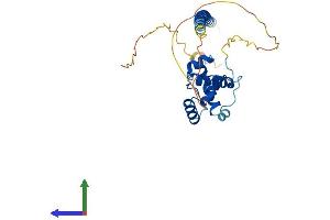 Protein Structure (PS) image for Coiled-Coil Domain Containing 106 (CCDC106) (AA 1-280) protein (His tag) (ABIN7553003)