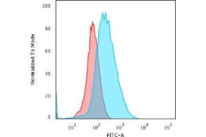 Flow Cytometric Analysis of PFA-fixed Jurkat cells using CD45 Mouse Monoclonal Antibody (2B11+PD7/26) followed by Goat anti- Mouse- IgG-CF488 (Blue); Isotype Control (Red). (CD45 Antikörper)