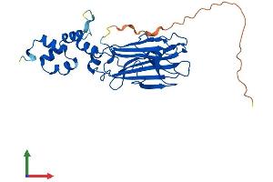 Protein Structure (PS) image for F-Box Protein 6 (FBXO6) (AA 1-295) protein (His tag) (ABIN7565167)