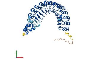 Protein Structure (PS) image for F-Box and Leucine-Rich Repeat Protein 2 (FBXL2) (AA 1-423) protein (His tag) (ABIN7564350)
