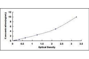 Nephrin ELISA Kit