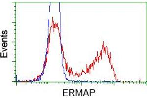 HEK293T cells transfected with either pCMV6-ENTRY ERMAP (RC215022) (Red) or empty vector control plasmid (Blue) were immunostained with anti-ERMAP mouse monoclonal (ABIN2453014), and then analyzed by flow cytometry. (ERMAP Antikörper)