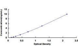 ELISA image for Podoplanin (PDPN) ELISA Kit (ABIN415307)