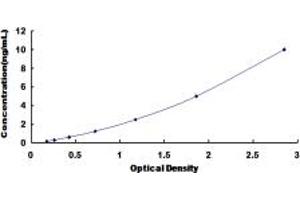 Typical standard curve (Betacellulin ELISA Kit)