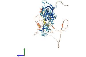 Protein Structure (PS) image for Amyloid beta (A4) Precursor Protein-Binding, Family A, Member 3 (APBA3) (AA 1-571) protein (His tag) (ABIN7562683)