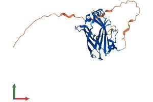 Protein Structure (PS) image for Unc-119 Homolog (UNC119) (AA 1-240) protein (His tag) (ABIN7555883)