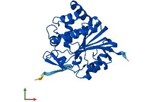 Protein Structure (PS) image for Indolethylamine N-Methyltransferase (INMT) (AA 1-264) protein (His tag) (ABIN7563218)