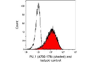 anti-Spleen Focus Forming Virus (SFFV) Proviral Integration Oncogene Spi1 (SPI1) (AA 1-50) antibody