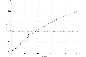 Nicotinamide Nucleotide Adenylyltransferase 1 (NMNAT1) ELISA Kit