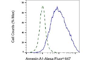 Validation of Annexin A1 knockdown using flow cytometry.