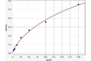 Fibulin 5 ELISA Kit