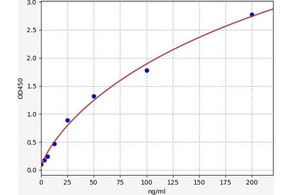 Fibulin 5 ELISA Kit