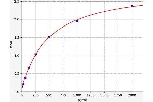 H2AFX ELISA Kit