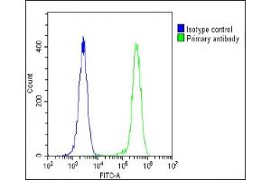 Overlay histogram showing U-2 OS cells stained with (ABIN656235 and ABIN2845551) (green line). (Aquaporin 5 Antikörper  (C-Term))