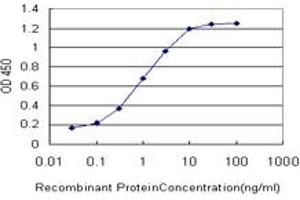 Detection limit for recombinant GST tagged GRM7 is approximately 0. (GRM7 Antikörper  (AA 431-520))