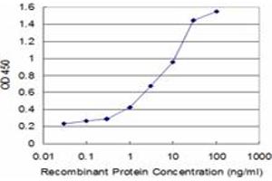 Detection limit for recombinant GST tagged BMP5 is approximately 0. (BMP5 Antikörper  (AA 341-440))