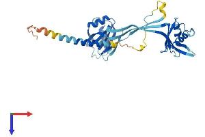 NMI Protein (AA 1-307) (His tag)