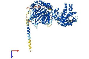 NDST2 Protein (AA 1-883) (His tag)