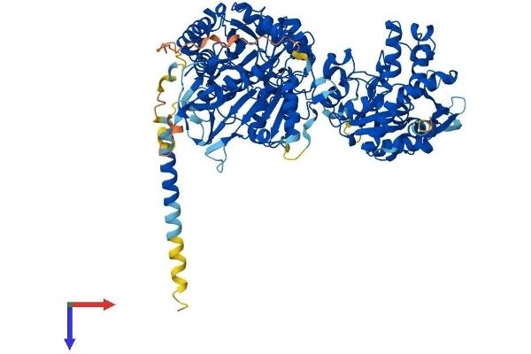 NDST2 Protein (AA 1-883) (His tag)