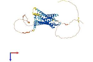 GPR152 Protein (AA 1-470) (His tag)