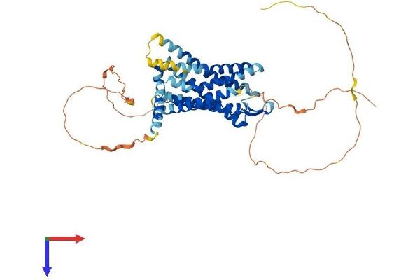 GPR152 Protein (AA 1-470) (His tag)