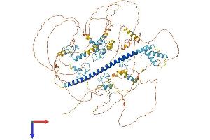 ST18 Protein (AA 1-1047) (His tag)