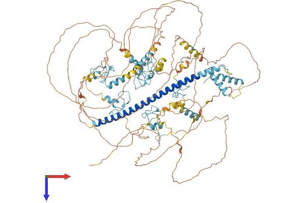 ST18 Protein (AA 1-1047) (His tag)
