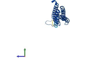 Protein Structure (PS) image for Leukotriene C4 Synthase (LTC4S) (AA 1-150) protein (His tag) (ABIN7549097)