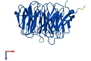 WDR82 Protein (AA 1-313) (His tag)