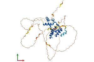 AlphaFold protein structure predicition of Human Recombinant DUX4L6 Protein, UniprotID P0CJ89