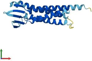 Protein Structure (PS) image for Lens Intrinsic Membrane Protein 2, 19kDa (LIM2) (AA 1-173) protein (His tag) (ABIN7549154)