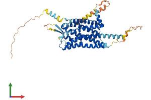Protein Structure (PS) image for Hypocretin (Orexin) Receptor 1 (HCRTR1) (AA 1-416) protein (His tag) (ABIN7556512)