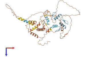 ZNF238 Protein (AA 1-522) (His tag)