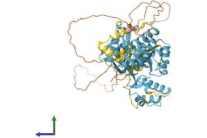 Protein Structure (PS) image for MARE (C16orf35) (AA 1-569) protein (His tag) (ABIN7559960)