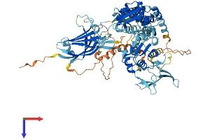SMURF2 Protein (AA 1-748) (His tag)