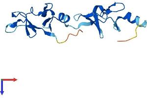 LMO1 Protein (AA 1-156) (His tag)
