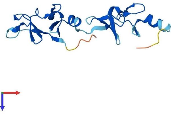 LMO1 Protein (AA 1-156) (His tag)