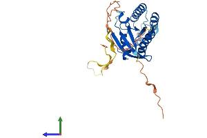 AlphaFold protein structure predicition of Mouse Recombinant Rasl12 Protein, UniprotID Q08AT1