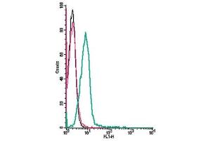 anti-ORAI Calcium Release-Activated Calcium Modulator 1 (ORAI1) (AA 200-212), (Extracellular) antibody