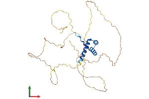 Protein Structure (PS) image for Orthodenticle Homeobox 1 (OTX1) (AA 1-354) protein (His tag) (ABIN7550541)