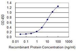 Detection limit for recombinant GST tagged EML4 is 0. (EML4 Antikörper  (AA 1-62))