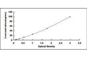 Selectin E/CD62e ELISA Kit